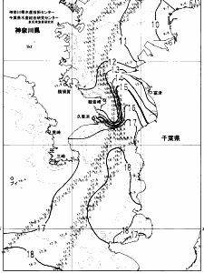 東京湾口海況図(2025/01/15)