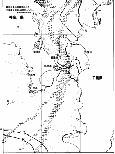 東京湾口海況図(2025/01/18)