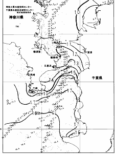 東京湾口海況図(2025/01/20)