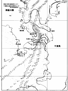 東京湾口海況図(2025/01/21)