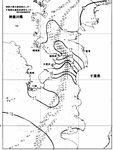 東京湾口海況図(2025/01/22)