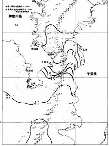 東京湾口海況図(2025/01/24)