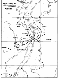 東京湾口海況図(2025/01/26)