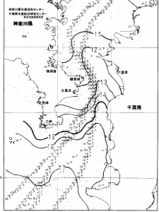 東京湾口海況図(2025/01/29)