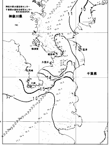 東京湾口海況図(2025/01/30)