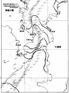 東京湾口海況図(2025/01/31)