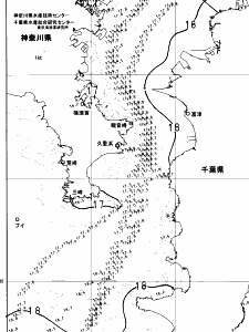 東京湾口海況図(2025/05/11)