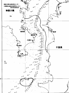 東京湾口海況図(2025/05/13)