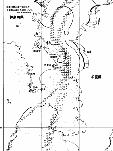 東京湾口海況図(2025/05/17)