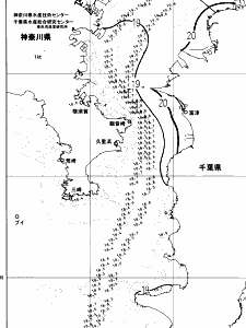 東京湾口海況図(2025/05/21)