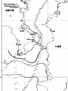 東京湾口海況図(2025/05/30)