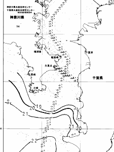 東京湾口海況図(2025/06/01)