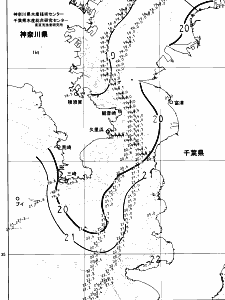 東京湾口海況図(2025/06/04)
