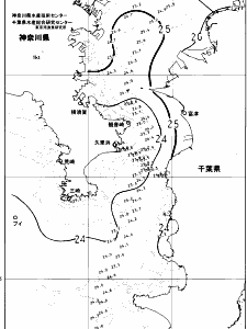 東京湾口海況図(2025/06/21)