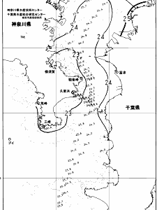 東京湾口海況図(2025/06/22)