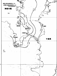 東京湾口海況図(2025/06/23)