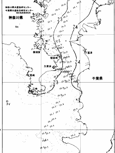 東京湾口海況図(2025/06/24)