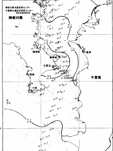 東京湾口海況図(2025/06/25)
