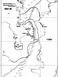東京湾口海況図(2025/06/26)