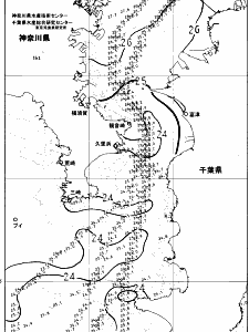 東京湾口海況図(2025/06/29)