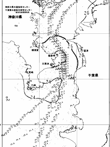 東京湾口海況図(2025/06/30)