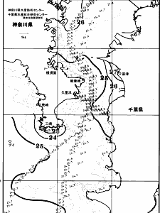 東京湾口海況図(2025/07/03)