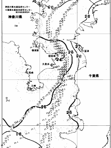 東京湾口海況図(2025/07/04)