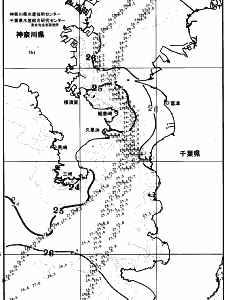 東京湾口海況図(2025/07/05)