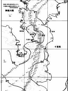 東京湾口海況図(2025/07/06)