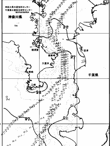 東京湾口海況図(2025/07/07)