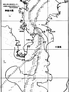 東京湾口海況図(2025/07/08)