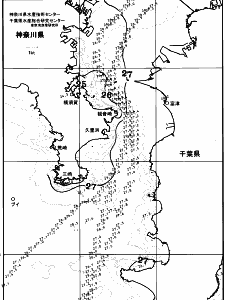 東京湾口海況図(2025/07/10)