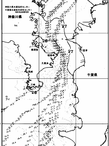 東京湾口海況図(2025/07/11)