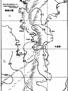 東京湾口海況図(2025/07/12)