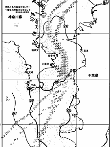 東京湾口海況図(2025/07/13)
