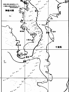 東京湾口海況図(2025/07/16)
