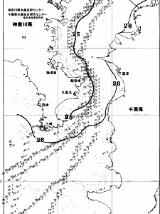 東京湾口海況図(2025/07/17)