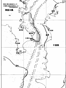東京湾口海況図(2025/07/24)