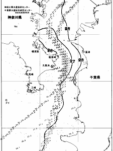 東京湾口海況図(2025/07/27)