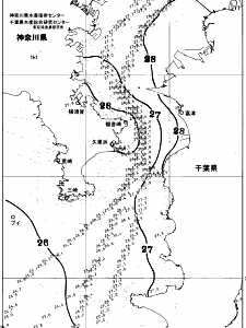 東京湾口海況図(2025/07/28)
