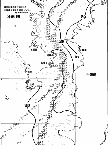 東京湾口海況図(2025/07/29)