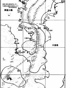 東京湾口海況図(2025/07/30)