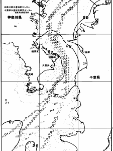 東京湾口海況図(2025/07/31)