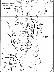 東京湾口海況図(2025/08/12)