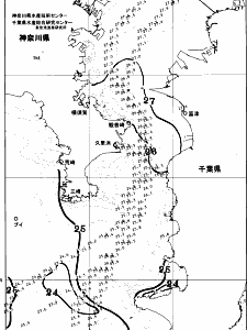 東京湾口海況図(2025/08/15)