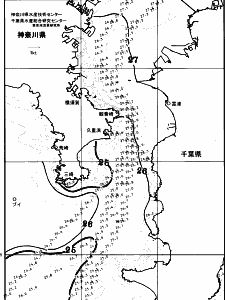 東京湾口海況図(2025/08/17)