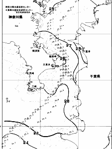 東京湾口海況図(2025/08/19)