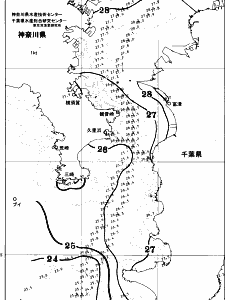 東京湾口海況図(2025/08/20)