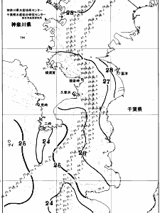 東京湾口海況図(2025/08/21)