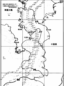 東京湾口海況図(2025/08/24)